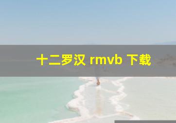 十二罗汉 rmvb 下载